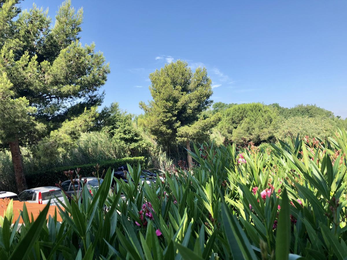 Premiere Classe Perpignan Sud Bagian luar foto